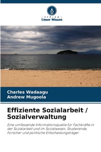 Effiziente Sozialarbeit / Sozialverwaltung cover