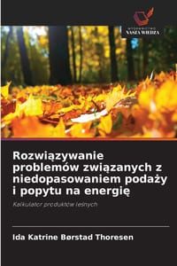 Rozwiązywanie problemów związanych z niedopasowaniem podaży i popytu na energię cover