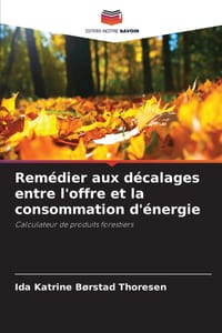 Remédier aux décalages entre l'offre et la consommation d'énergie cover