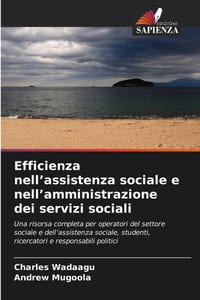 Efficienza nell'assistenza sociale e nell'amministrazione dei servizi sociali cover