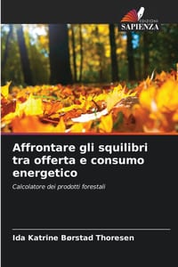 Affrontare gli squilibri tra offerta e consumo energetico cover