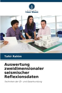 Auswertung zweidimensionaler seismischer Reflexionsdaten cover