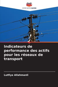 Indicateurs de performance des actifs pour les réseaux de transport cover