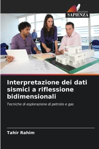 Interpretazione dei dati sismici a riflessione bidimensionali cover