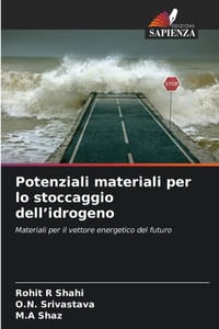 Potenziali materiali per lo stoccaggio dell'idrogeno cover