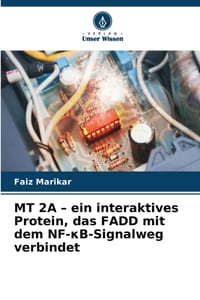 MT 2A - ein interaktives Protein, das FADD mit dem NF-κB-Signalweg verbindet cover