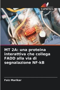 MT 2a: una proteina interattiva che collega FADD alla via di segnalazione NF-kB cover