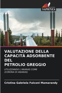 Valutazione Della Capacità Adsorbente del Petrolio Greggio cover