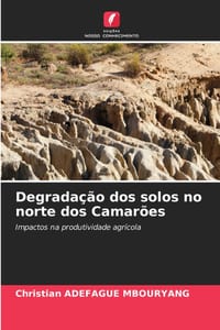 Degradação dos solos no norte dos Camarões cover