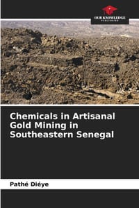 Chemicals in Artisanal Gold Mining in Southeastern Senegal cover