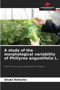 A study of the morphological variability of Phillyrea angustifolia L. cover