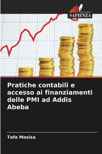 Pratiche contabili e accesso ai finanziamenti delle PMI ad Addis Abeba cover