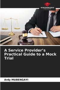 A Service Provider's Practical Guide to a Mock Trial cover