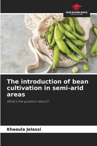 The introduction of bean cultivation in semi-arid areas cover