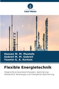 Flexible Energietechnik cover