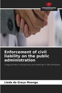 Enforcement of civil liability on the public administration cover