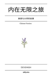 Journey to Infinity Within Chinese Version 美德与大师的故事 cover