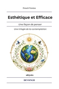 Esthétique et Efficace Une façon de penser cover