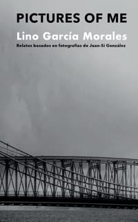 Pictures Of Me cover