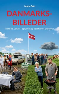 Danmarksbilleder: Indfald & udkast - opsamlet og nedskrevet undervejs cover