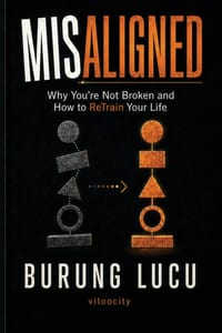 Misaligned: Why You're Not Broken and How to Re- Train Your Life cover