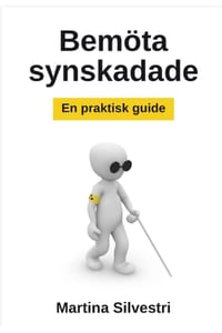 Bemöta synskadade: En praktisk guide! cover