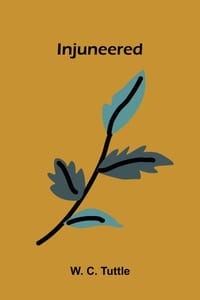 Injuneered cover