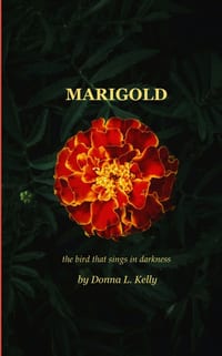 Marigold the bird that sings in darkness cover