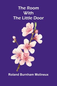 The Room with the Little Door cover