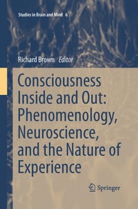 Consciousness Inside and Out: Phenomenology, Neuroscience, and the Nature of Experience cover