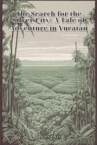 The Search for the Silver City cover