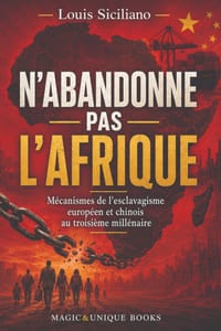 N'Abandonne Pas l'Afrique: Mécanismes de l'esclavagisme européen et chinois au troisième millénaire cover