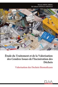 Étude du Traitement et de la Valorisation des Cendres Issues de l'Incinération des Déchets: Valorisation des Dechets Biomedicaux cover