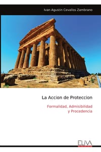 La Accion de Proteccion: Formalidad, Admisibilidad y Procedencia cover