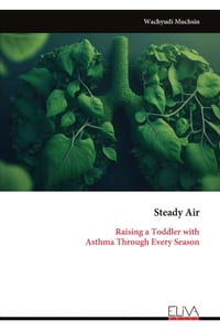Steady Air: Raising a Toddler with Asthma Through Every Season cover