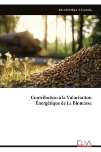 Contribution à la Valorisation Énergétique de La Biomasse cover