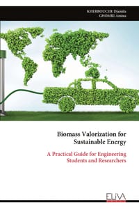 Biomass Valorization for Sustainable Energy: A Practical Guide for Engineering Students and Researchers cover
