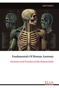 Fundamentals Of Human Anatomy: Structure and Function of the Human Body cover