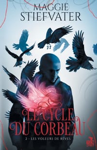 Les voleurs de rêves: Le cycle du corbeau, T2 cover