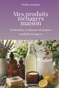 Mes produits ménagers maison: Économiser en faisant vos propres produits ménagers cover