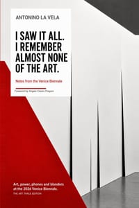 I Saw It All. I Remember Almost None of the Art.: Notes from the Venice Biennale cover