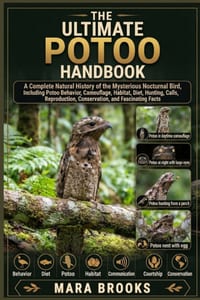 The Ultimate Potoo Handbook: A Complete Natural History of the Mysterious Nocturnal Bird, Including Potoo Behavior, Camouflage, Habitat, Diet, Hunting cover