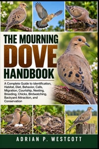The Mourning Dove Handbook: A Complete Guide to Identification, Habitat, Diet, Behavior, Calls, Migration, Courtship, Nesting, Breeding, Chicks, Birdw cover