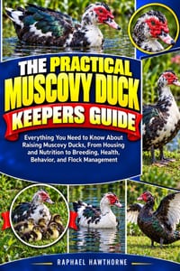 The Practical Muscovy Duck Keepers Guide: Everything You Need to Know About Raising Muscovy Ducks, From Housing and Nutrition to Breeding, Health, Beh cover
