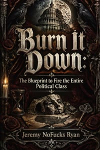 Burn It Down: The Blueprint to Fire the Entire Political Class: A Tactical Manifesto to Unify Voters, Purge Incumbents, and Reclaim American Governanc cover