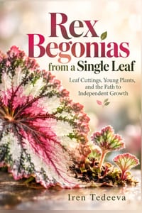 Rex Begonias from a Single Leaf: Leaf Cuttings, Young Plants, and the Path to Independent Growth cover