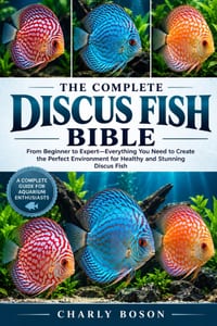 The Complete Discus Fish Bible: From Beginner to Expert-Everything You Need to Create the Perfect Environment for Healthy and Stunning Discus Fish cover