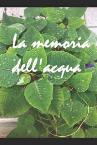 La memoria dell'acqua cover