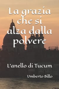 La grazia che si alza dalla polvere cover
