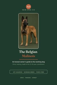 The Belgian Malinois: An Honest Owner's Guide to the Working Dog - Drive, Training, Health & the 12-16 Year Commitment cover